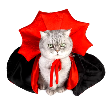 Cat Costume Vampire Cloak