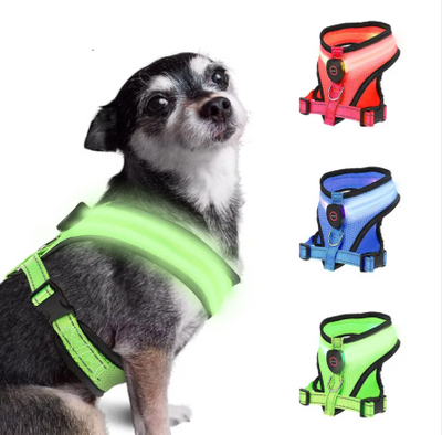 GlowPaws LED Pet Harness