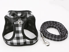 Cute Cat Harness & Leash