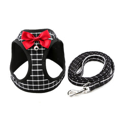 Cute Cat Harness & Leash