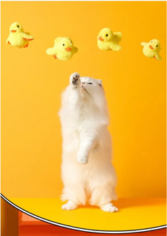 Rechargeable Flapping Duck Cat Toy