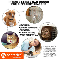 Calming Pheromone Cat Spray for Stress, Travel, Scratching