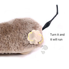 Wind Up Mouse Cat Toy