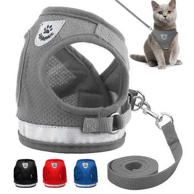 Breathable Mesh Vest with Leash