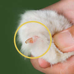 Cat Nail Clippers