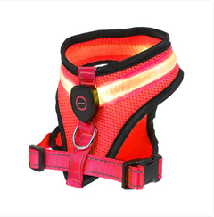 GlowPaws LED Pet Harness