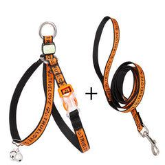 Cat Harness with Leash