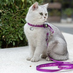 Cat Harness with Leash
