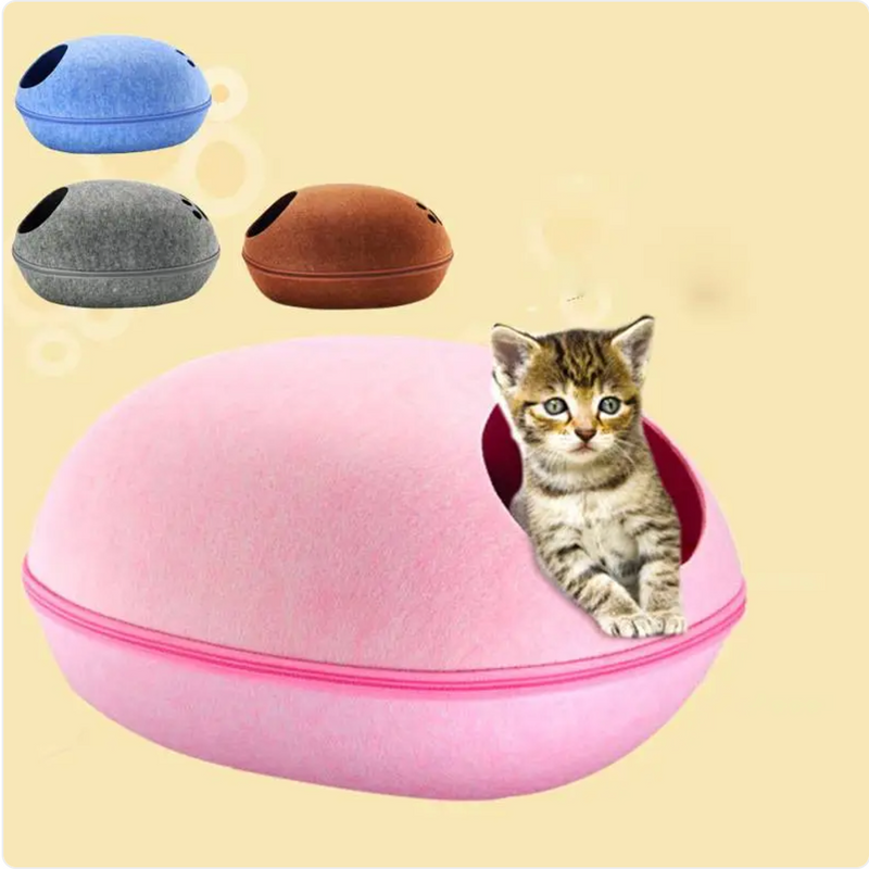 Detachable Shell Cat Nest
