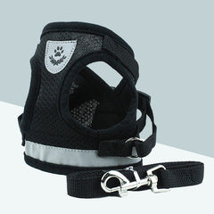 Breathable Mesh Vest with Leash