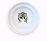 Spine Protection Bowls