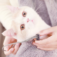 Plush Carrier for Cats/Dogs