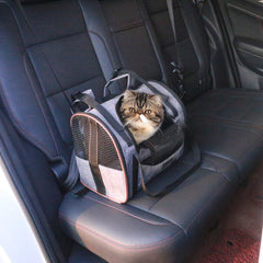 All-in-One Travel Pet Backpack