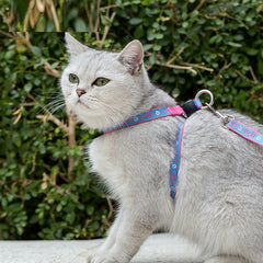 Cat Harness with Leash