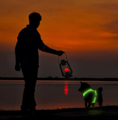 GlowPaws LED Pet Harness