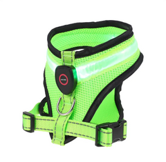 GlowPaws LED Pet Harness