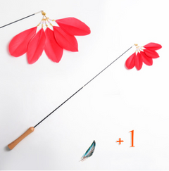 Wooden Cat Teaser Wand