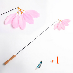 Wooden Cat Teaser Wand