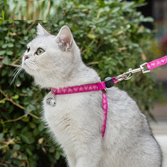 Cat Harness with Leash