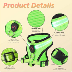 GlowPaws LED Pet Harness